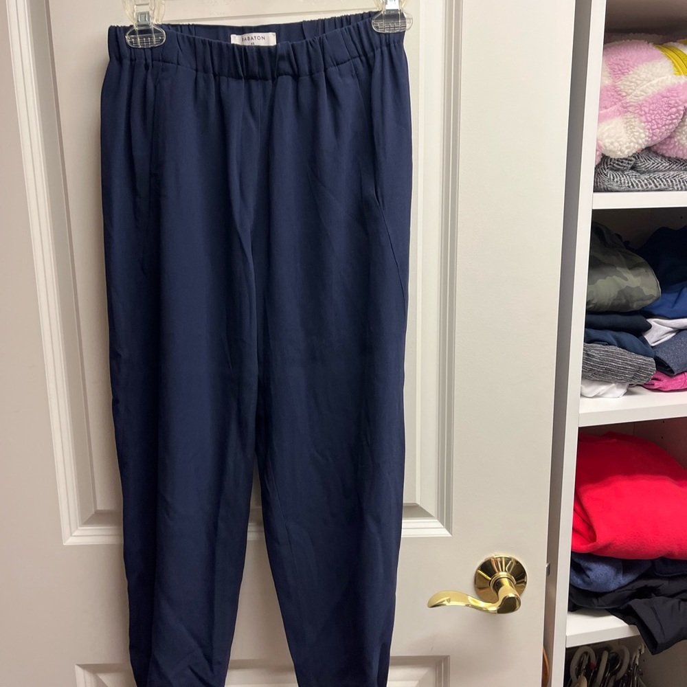 aritiza Babaton navy pants - jogger like